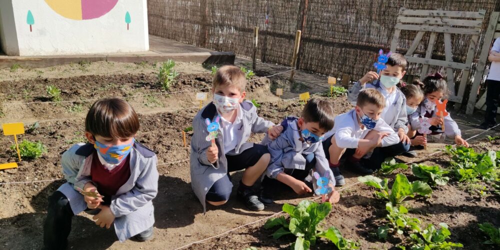 alumnos cultivando verduras en el huerto
