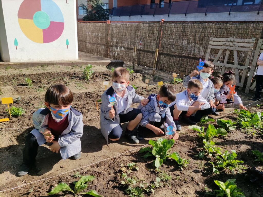 alumnos cultivando verduras en el huerto